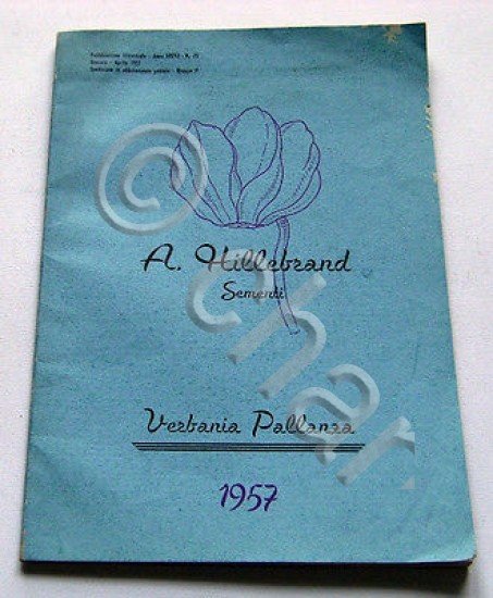 Catalogo illustrato Orticoltura  - A. Hillebrand - Sementi - 1957