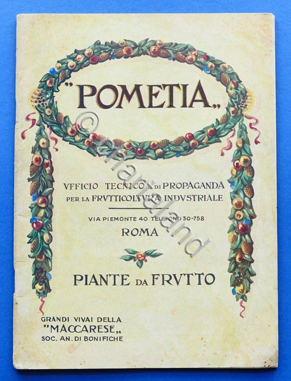Catalogo Pometia - Piante da frutto - Roma - 1930