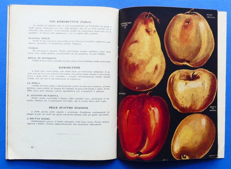Catalogo Pometia - Piante da frutto - Roma - 1930
