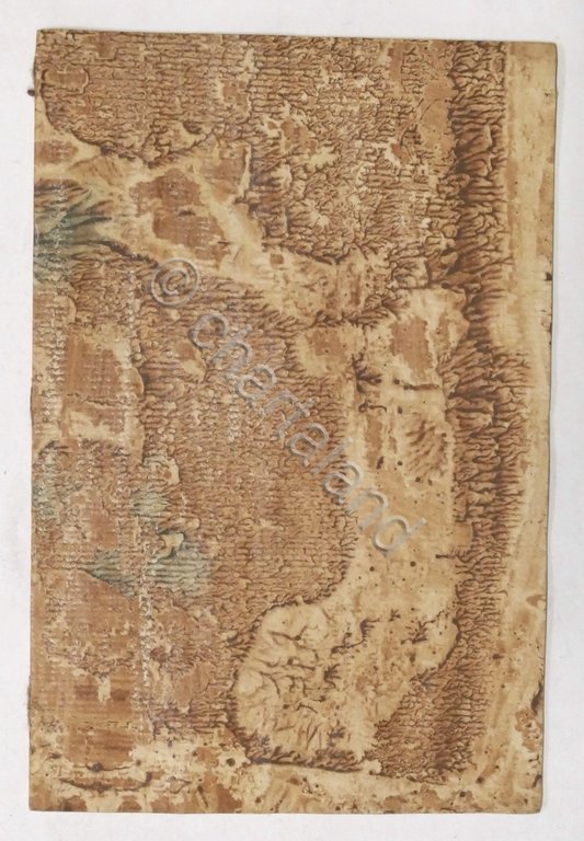 Catalogus Plantarum Horti Botanici Regiensis - Reggio Emilia Elenco piante …