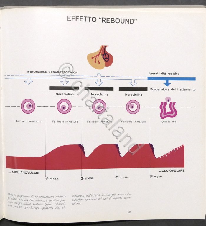 CIBA Industria Chimica - Gli inibitori dell'ovulazione - ed. 1965