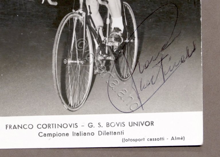 Ciclismo - Autografo del ciclista campione dilettanti Franco Cortinovis - …