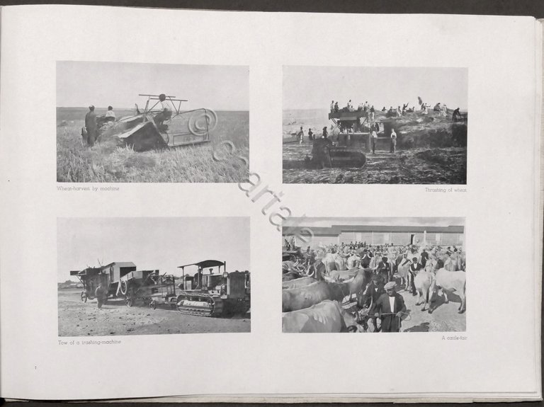 Cirenaica - Some photographic representations of Italy's action - 1946