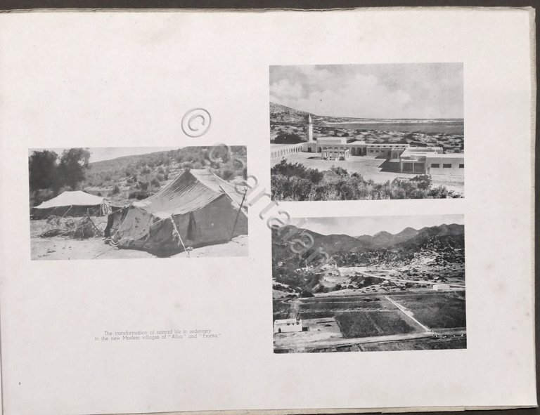 Cirenaica - Some photographic representations of Italy's action - 1946