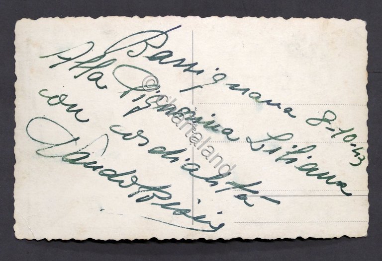 Collezionismo Musica - Autografo originale del musicista Nando Bisio - …