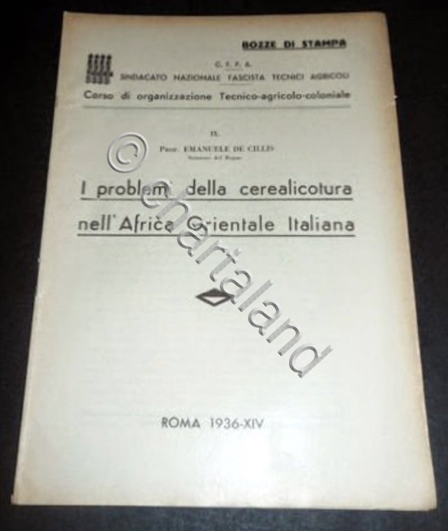 Colonialismo - I problemi della cerealicoltura Africa Orientale Italiana - …