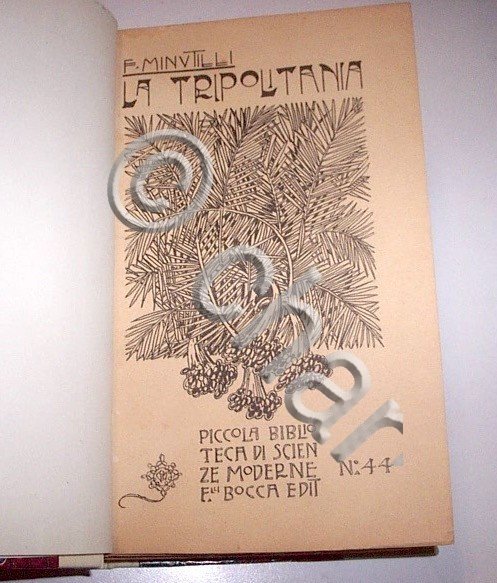 Colonialismo - Minutilli - La Tripolitania ed. 1912 Bocca Editori | Immagine Gallery 2