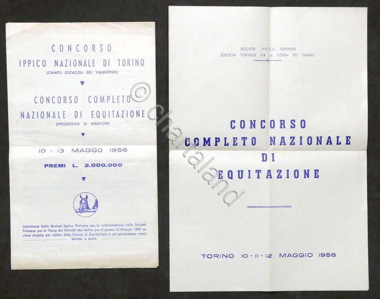 Concorso Ippico Nazionale di Torino - Programma - 1956 | Immagine Gallery 1