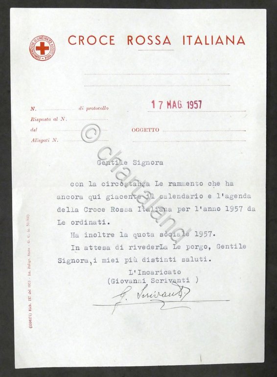 Croce Rossa Italiana - Lettera informativa dattiloscritta - 1957