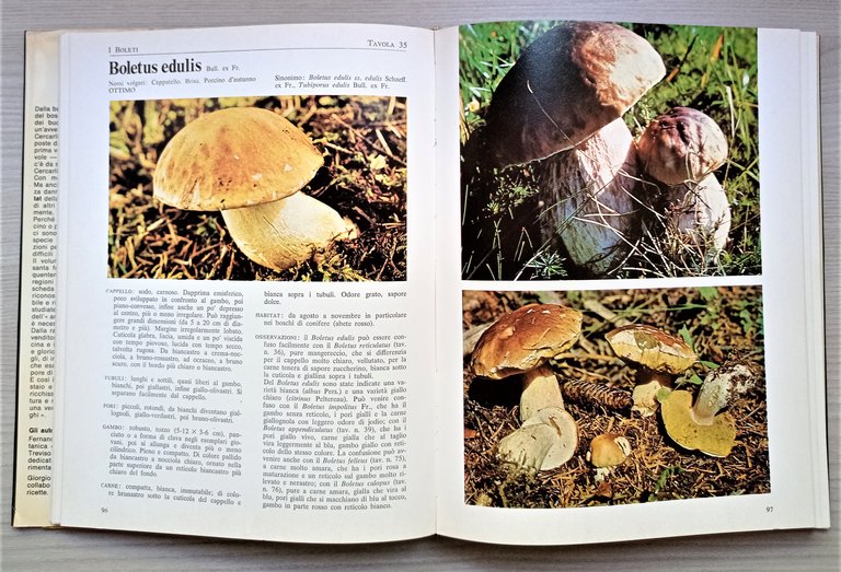 Cucina - F. e T. Raris - I Funghi: cercarli, …