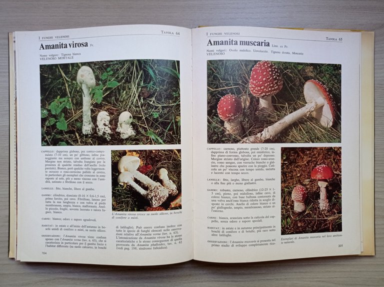 Cucina - F. e T. Raris - I Funghi: cercarli, …