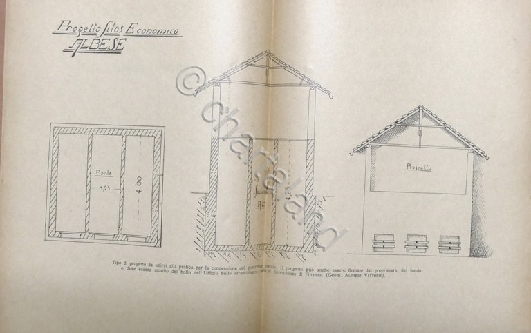 D. Ferraris - I Sili economici Albesi e altri tipi …