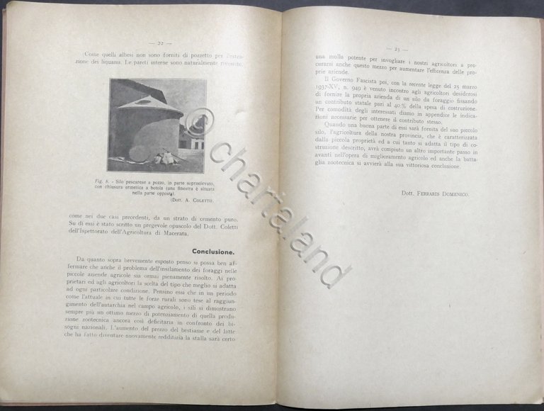 D. Ferraris - I Sili economici Albesi e altri tipi …