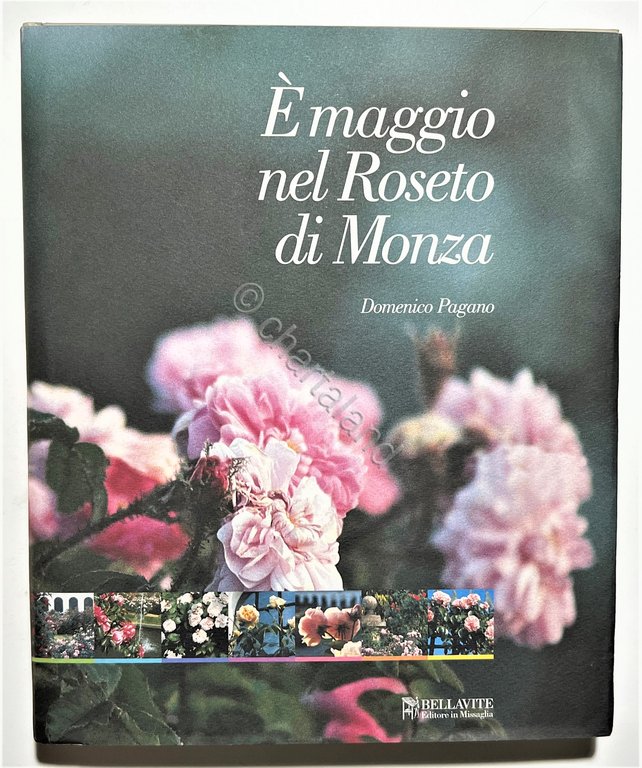 D. Pagano - E' maggio nel Roseto di Monza: Passeggiata …