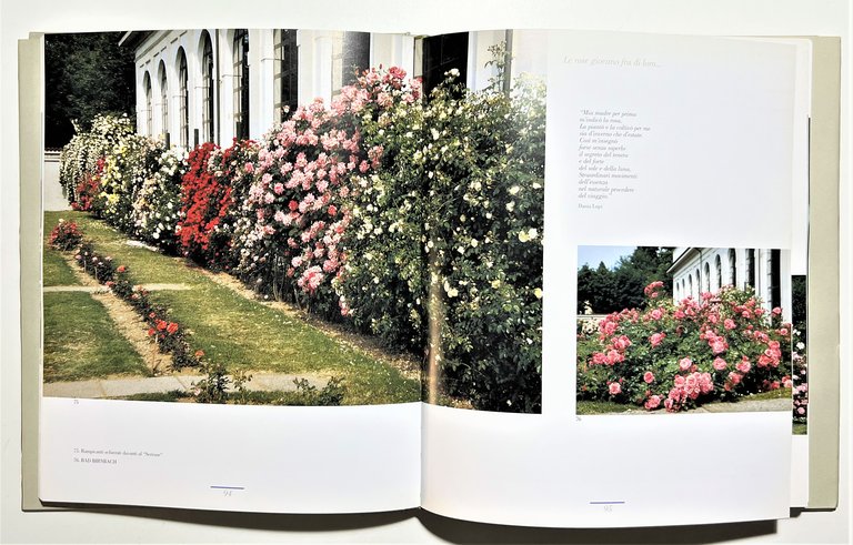 D. Pagano - E' maggio nel Roseto di Monza: Passeggiata …