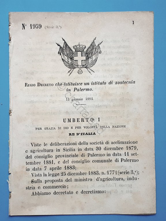 Decreto Regno Italia - Istituzione scuola di zootecnia in Palermo - 1884