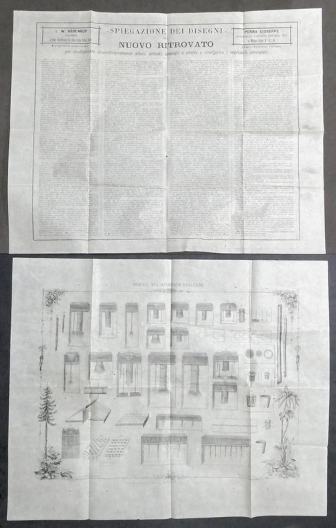 Disegni e spiegazione del ritrovato Ossenkop per moltiplicare alberi - 1910 ca.