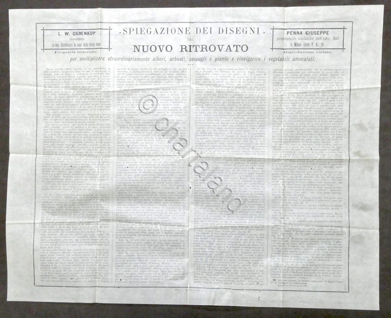 Disegni e spiegazione del ritrovato Ossenkop per moltiplicare alberi - …