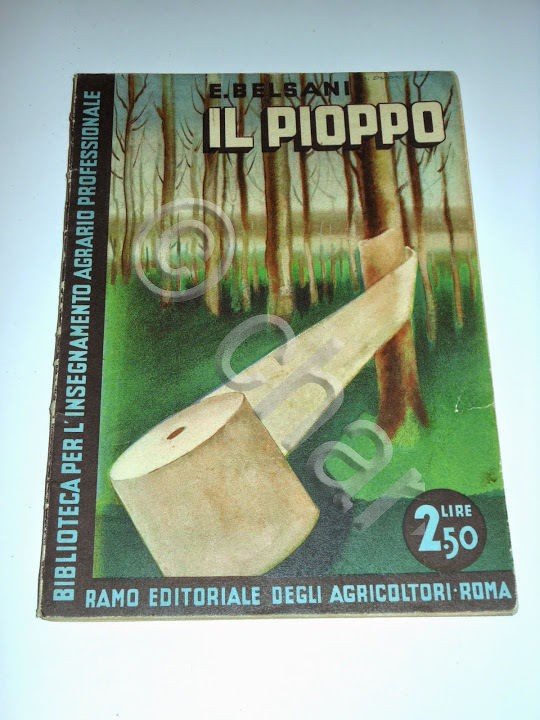E. Belsani - Il Pioppo - 1^ ed. 1933 - Copertina Dudovich