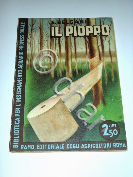 E. Belsani - Il Pioppo - 1^ ed. 1933 - … | Immagine Gallery 2