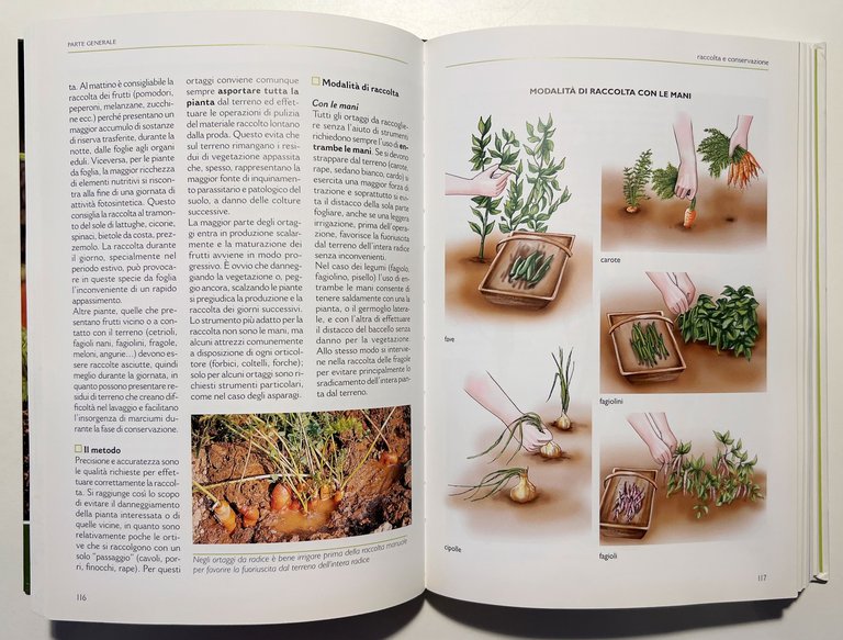 E. Boffelli e G. Sirtori - Il Grande Libro dell'Orto: …