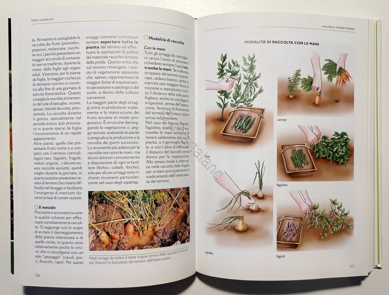 E. Boffelli e G. Sirtori - Il Grande Libro dell'Orto: …