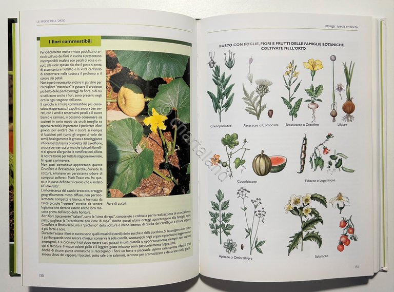 E. Boffelli e G. Sirtori - Il Grande Libro dell'Orto: …