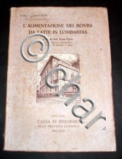 E. Ferrari - L'alimentazione dei bovini da latte in Lombardia …