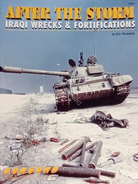 E. Micheletti - After the Storm: Iraqi Wrecks and Fortifications …