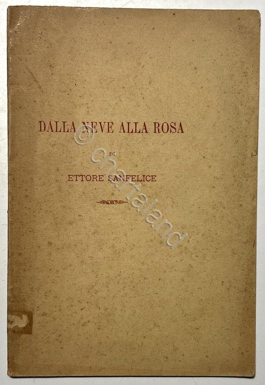 E. Sanfelice - Dalla Neve alla Rosa - ed. 1895 | Immagine Gallery 2