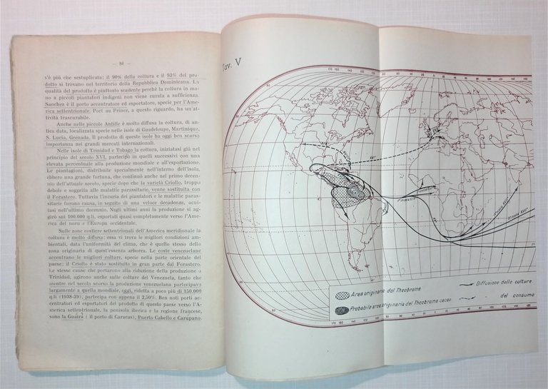 E. Scarin - I principali tonici nervini - ed. 1946