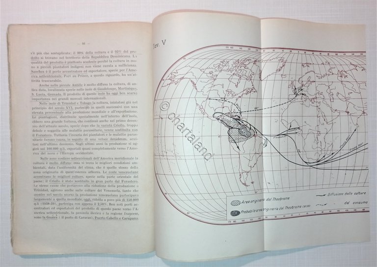 E. Scarin - I principali tonici nervini - ed. 1946