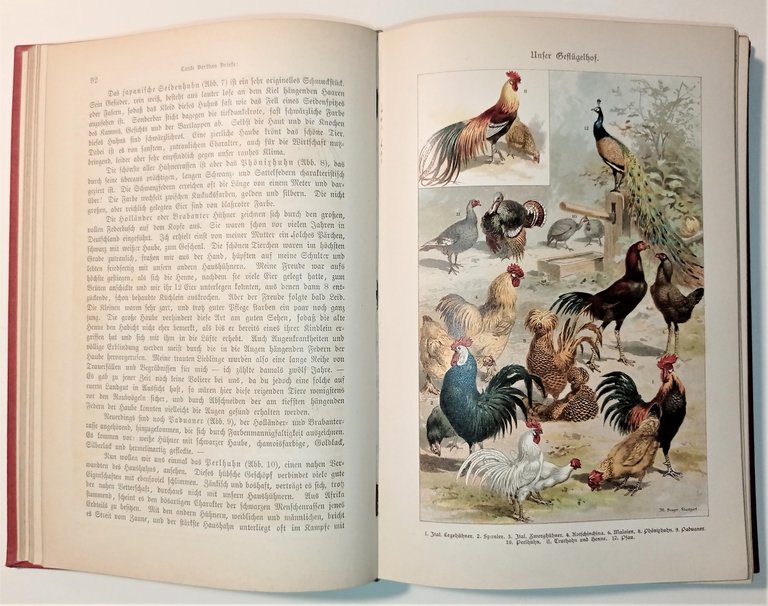 Ein Jahrbuch der Unterhaltung Belehrung und Beschäftigung für junge Mädchen … | Immagine Gallery 2