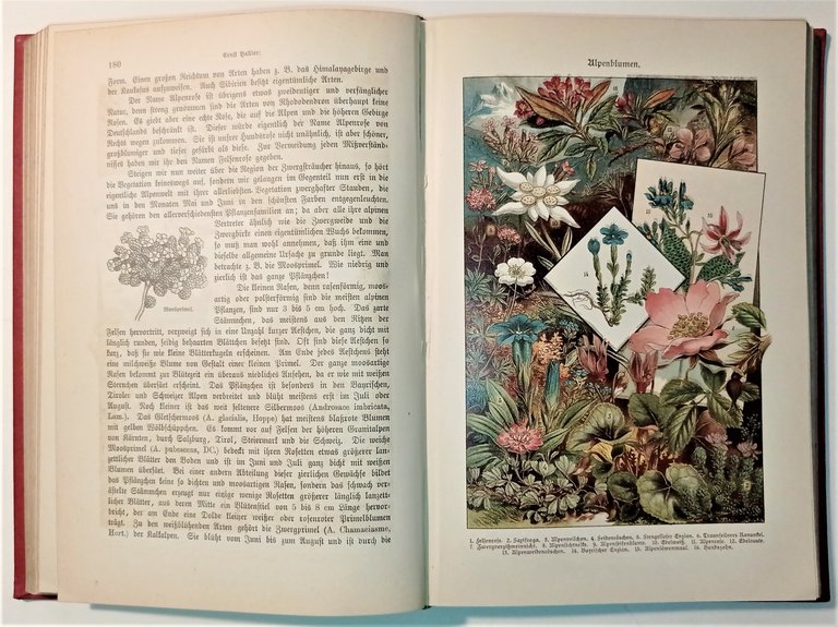 Ein Jahrbuch der Unterhaltung Belehrung und Beschäftigung für junge Mädchen … | Immagine Gallery 3