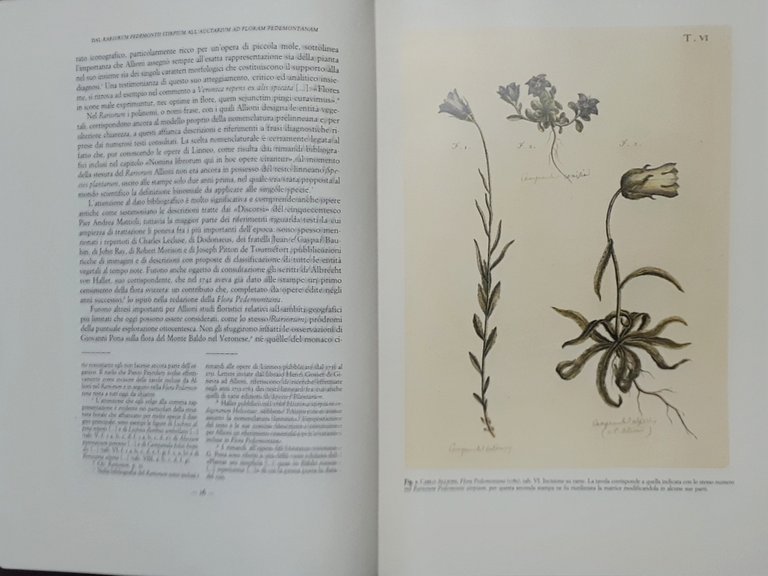 Erboristeria Le opere minori di Carlo Allioni - Caramielli Forneris …