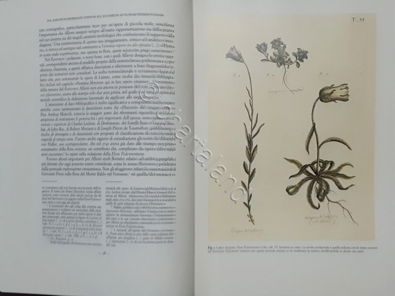 Erboristeria Le opere minori di Carlo Allioni - Caramielli Forneris …