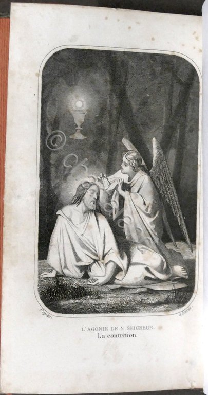 Esercizio del cristiano con i vespri festivi e orazioni originali …