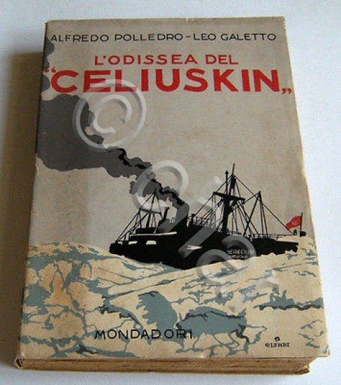 Esplorazioni Polo Nord Artide - L' Odissea del Celiuskin - …