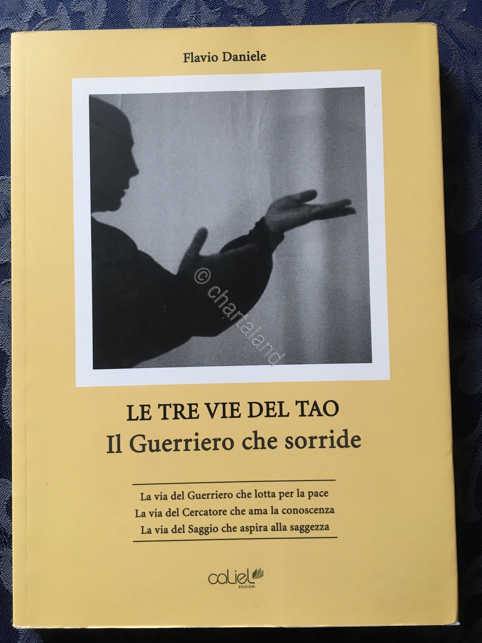 F. Daniele - Le tre vie del Tao - Il …