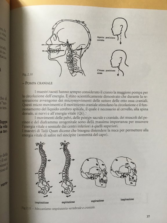 F. Daniele - Le tre vie del Tao - Il …