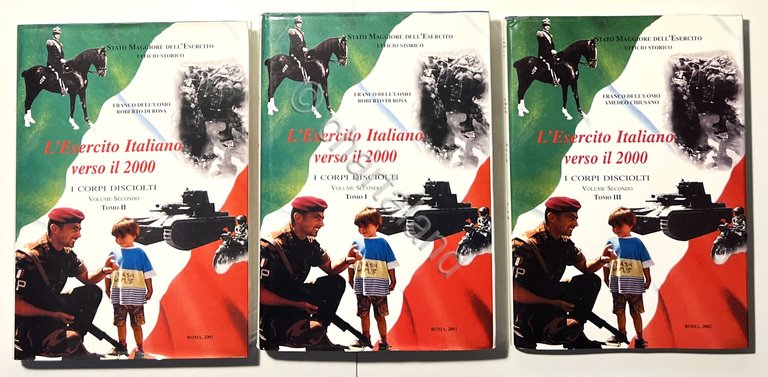 F. Dell'Uomo e R. Di Rosa - L'Esercito Italiano verso … | Immagine Gallery 3