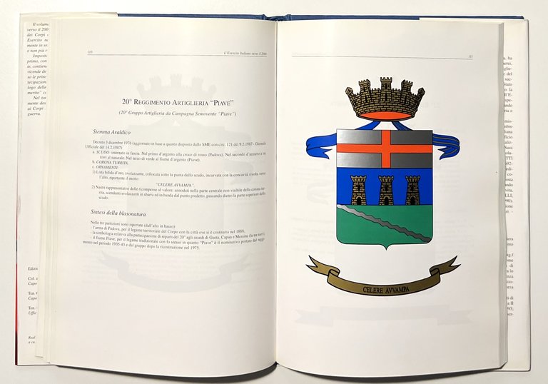 F. Dell'Uomo e R. Di Rosa - L'Esercito Italiano verso … | Immagine Gallery 10