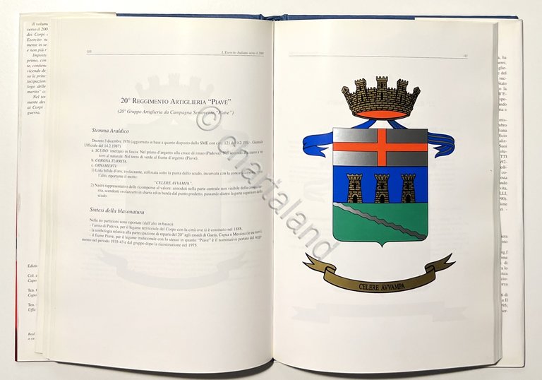 F. Dell'Uomo e R. Di Rosa - L'Esercito Italiano verso … | Immagine Gallery 12
