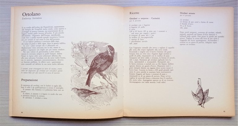 F. Niccolini Adimari - Il Libro della Cacciagione - ed. …