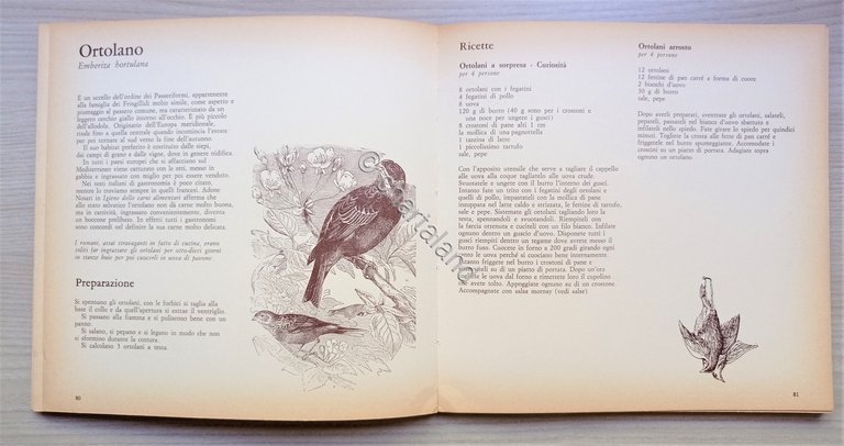 F. Niccolini Adimari - Il Libro della Cacciagione - ed. …