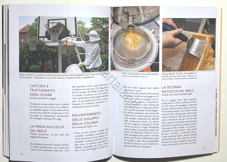 F. Pohl - Apicoltura facile: Un manuale illustrato del Mondo …