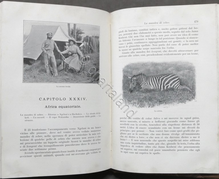 F. Scheibler - Sette Anni di Caccia Grossa e note …