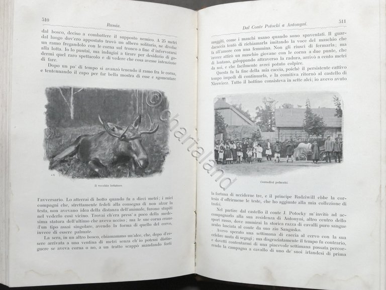 F. Scheibler - Sette Anni di Caccia Grossa e note …