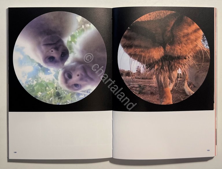 F. Zanot e T. Melilli - Food: Mostre/Exhibitions, Ricette/Recipes - …