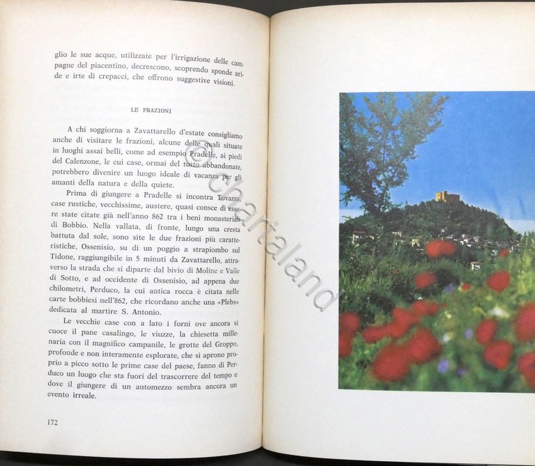 Facchino, Trazi, Baldazzi - Zavattarello: pagine di storia e di …